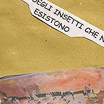 La citt degli insetti che non esistono