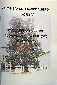 All'ombra del grande albero...