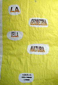 La geometria della natura