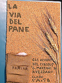 La via del pane dal chicco alla farina - dalla farina al pane