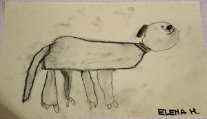 Il cane Bobi, rappresentazione grafica