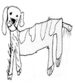 Il cane Bobi