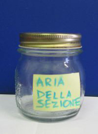 Aria della sezione