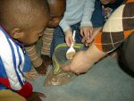 Osservazione di diversi tipi di sabbia