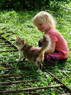 Coccole