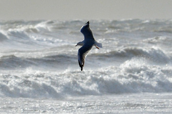 Mare in tempesta