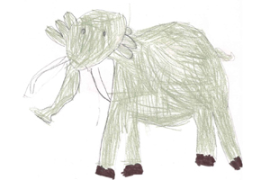 Elefante