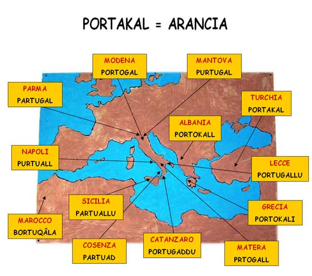 Mappa della parola "Portakal"