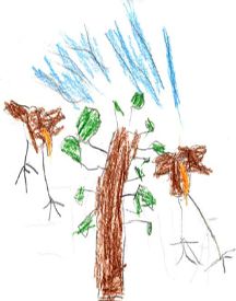 Vento tra gli alberi