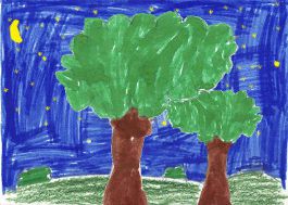 Bosco di notte