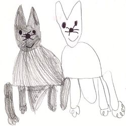 I gatti del Duetto buffo