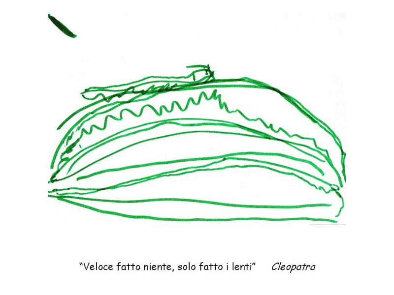 Diapositiva 5