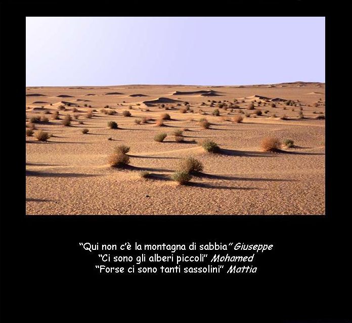 Diapositiva 5