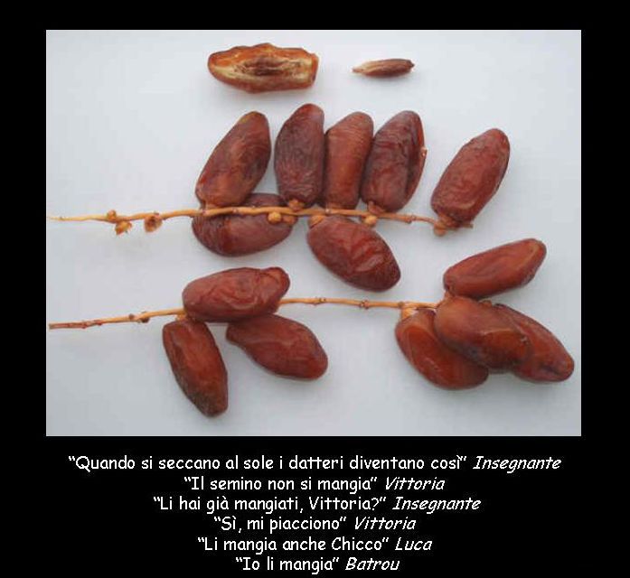 Diapositiva 15
