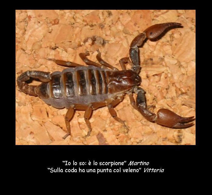 Diapositiva 18