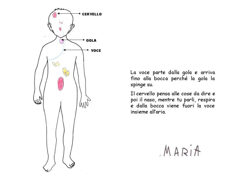 Diapositiva 2