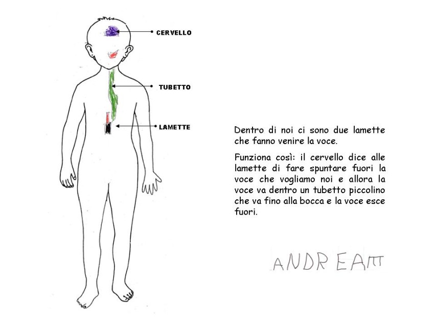 Diapositiva 3