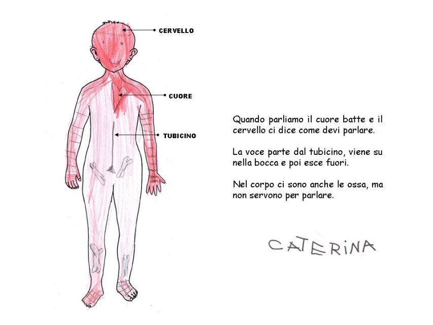 Diapositiva 5