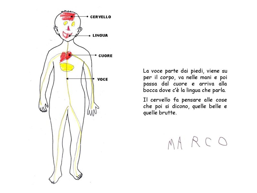 Diapositiva 7