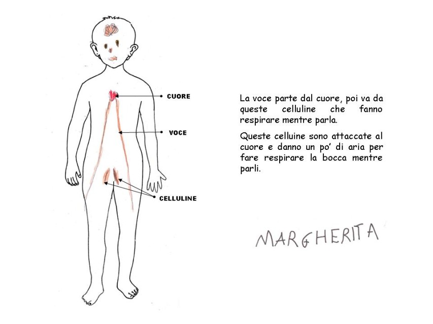 Diapositiva 8