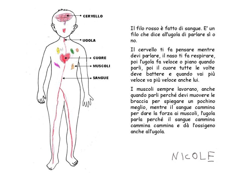 Diapositiva 9