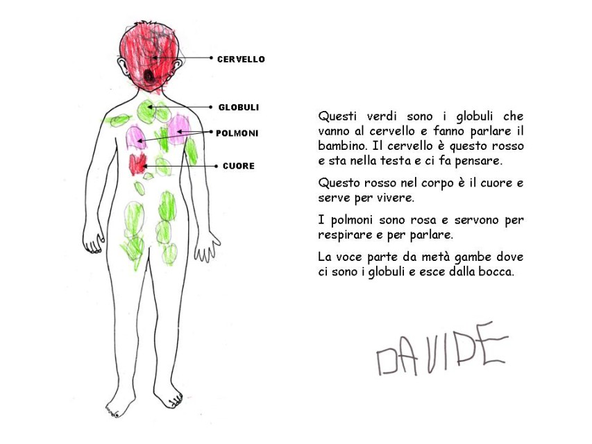 Diapositiva 10