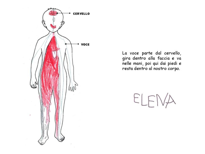 Diapositiva 12