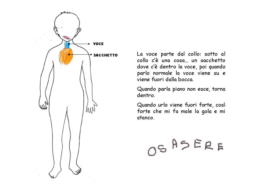 Diapositiva 13
