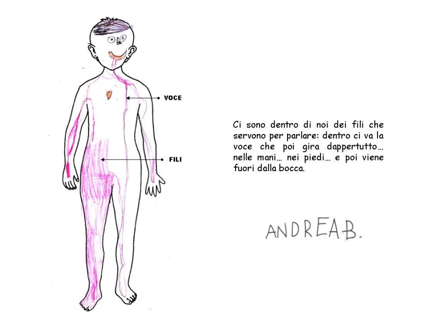Diapositiva 14