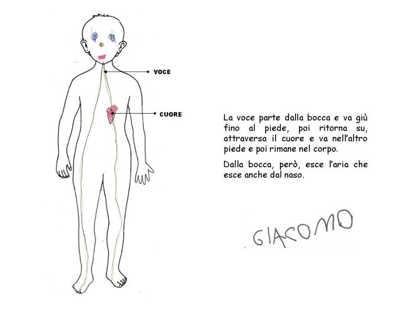 Diapositiva 16