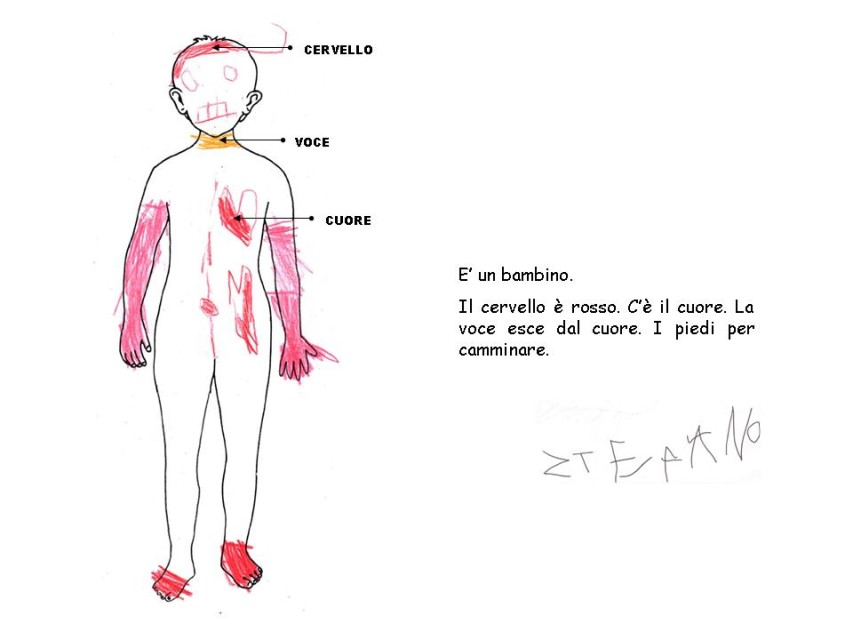 Diapositiva 19