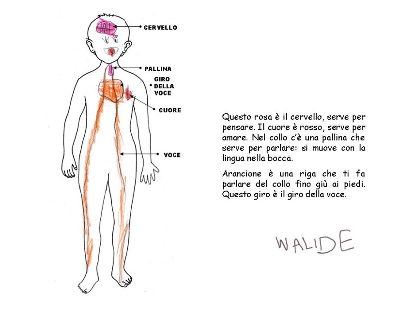 Diapositiva 22