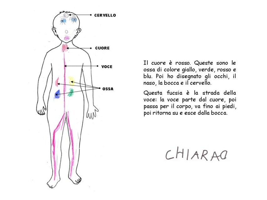 Diapositiva 24