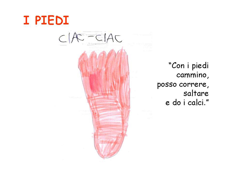 Diapositiva 7